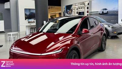 Tesla terus menerima kabar baik di pasar Eropa.