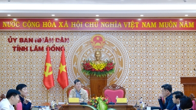 Provincia Lam Dong revizuiește și ajustează capitalul de investiții publice pentru perioada 2026-2030.
