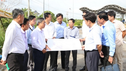 Field survey of the proposed coconut processing investment area in Nhi Long commune.