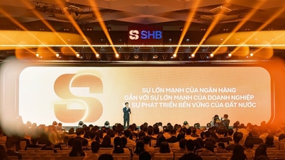 Βασιζόμενη στα 33 χρόνια ίδρυσής της, η SHB επιταχύνει το ταξίδι της για να φέρει το βιετναμέζικο σήμα στον κόσμο.