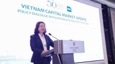 Vietnam har mange fordele ved at tiltrække langsigtede investeringsstrømme.