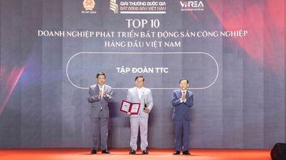 TTC Group honored as one of the Top 10 leading industrial real estate development companies in Vietnam.