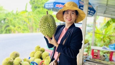 The China-Laos railway, a crucial transport route for durian from Thailand and Malaysia, carried 50,300 tons in 5 months.