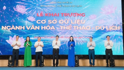 Lancio del portale del database del settore Cultura, Sport e Turismo della provincia di Nghe An.
