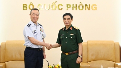 Transformarea cooperării în apărare într-o piatră de temelie a relațiilor Vietnam-Japonia.