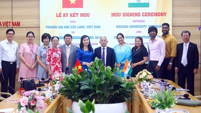 Trường Đại học Cửu Long hợp tác với một tập đoàn của Ấn Độ