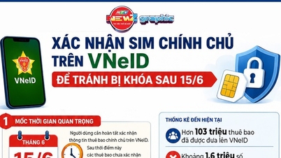 Verifieer het eigendom van uw simkaart op VNeID om te voorkomen dat deze na 15 juni wordt geblokkeerd.