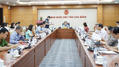 Il Comitato popolare provinciale esprime pareri su 12 progetti di risoluzione da sottoporre alla sessione ordinaria di metà anno del Consiglio popolare provinciale nel 2026 - Giornale online Cao Bang.
