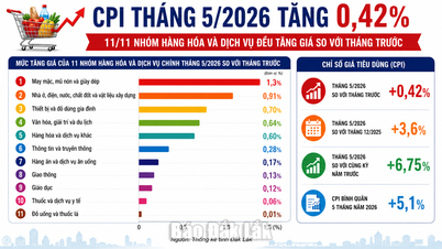 מדד המחירים לצרכן עלה ב-0.42% בחודש מאי.