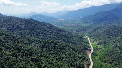 Neunzehn Gemeinden und Stadtteile in der Provinz Bac Ninh sind von einer schweren Waldbrandwarnung betroffen.