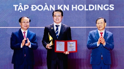 KN Holdings được vinh danh Top 10 doanh nghiệp bất động sản hàng đầu Việt Nam