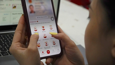 Telefonnummeret som brukes på VNeID er registrert i noen andres navn.