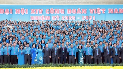14e Congres van de Vietnamese Vakbond: Verwachtingen voor baanbrekende beslissingen in de nieuwe periode.