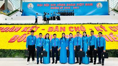 De nombreuses attentes reposent sur le 14e Congrès du Syndicat des travailleurs du Vietnam.