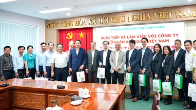 Lederne for den provinsielle folkekomiteen mottok og samarbeidet med delegasjonen fra Acecook Vietnam Joint Stock Company.