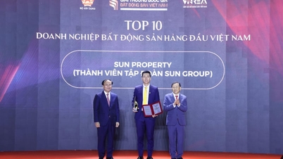 Η Sun Property «κερδίζει» 4 σημαντικές κατηγορίες στα Εθνικά Βραβεία Ακινήτων του Βιετνάμ 2026.