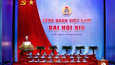 Quang Ninh terá 12 delegados oficiais participando do 14º Congresso do Sindicato do Vietnã.