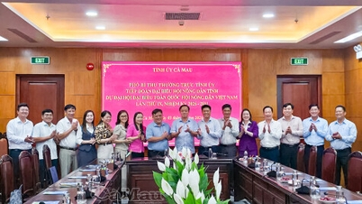 Provinciale leiders ontmoetten de delegatie die het 9e Nationale Congres van Vietnamese Boeren bijwoonde.