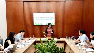 Promoting digital transformation in all aspects of the Ministry's Office's work.