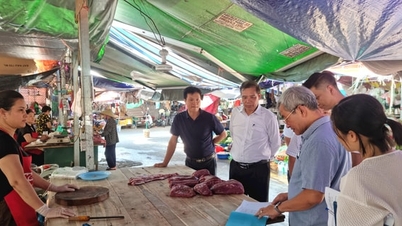 Überprüfung der Maßnahmen zur Kontrolle der Tierschlachtung in den Gemeinden Quoc Oai und Phu Cat.