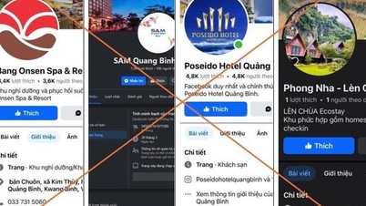 Chiar și atunci când aleg pagini de Facebook cu cei mai mulți urmăritori pentru a rezerva camere de hotel, oamenii tot sunt înșelați.
