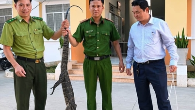 ໄຕນິງ: ໄດ້ຮັບກະປອມນ້ຳໜັກ 6.5 ກິໂລກຣາມ ທີ່ຊາວບ້ານທ້ອງຖິ່ນໄດ້ມອບໃຫ້.