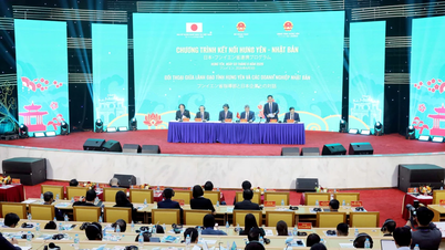 Kết nối Nhật Bản-Hưng Yên: Mở rộng cơ hội hợp tác và đầu tư