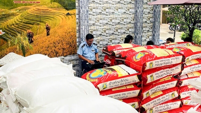 Lima ton beras yang tidak diketahui asal-usulnya disita di distrik Ha Tien.