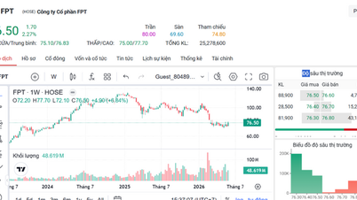 Am 3. Juni zogen die Aktien von FPT bedeutende Investitionen an.