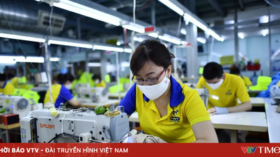 Industria textilă și de confecții din Vietnam se confruntă cu provocarea de a menține valoarea în lanțul de aprovizionare.