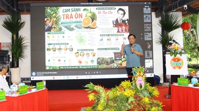 Tọa đàm chuyên đề “Chuyển đổi tư duy từ sản xuất nông nghiệp sang kinh tế nông nghiệp”