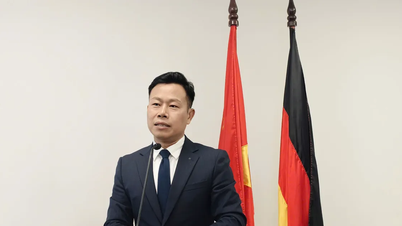Deputy Minister of Education and Training Le Quan serves as Chairman of the Board of Directors of the Vietnamese-German University.