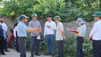 Le Comité permanent du Conseil populaire de la commune de Xuan Mai a examiné la situation actuelle des problèmes sociaux urgents.