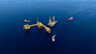 Поправки к Закону о нефти 2022 года: закладывая основу для укрепления национальной системы защиты энергетики.