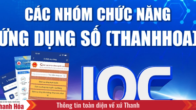 [Infografice] Grupuri funcționale ale aplicațiilor digitale (Thanh Hoa)