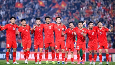 تم إدراج المنتخب الوطني الفيتنامي رسميًا على منصة EA SPORTS FC.