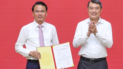Il signor Dang Xuan Phong ricopre anche la carica di vicesegretario del Comitato del Partito del Governo.