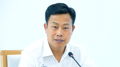 Deputy Minister of Education and Training Le Quan also serves as Chairman of the Board of Directors of the Vietnamese-German University.