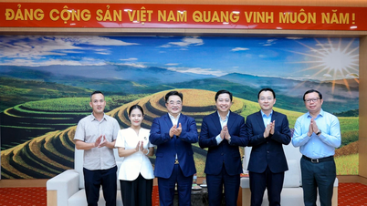 Provinsiell partisekretær Duong Quoc Huy jobber med Hoa Nam Energy Co., Ltd.