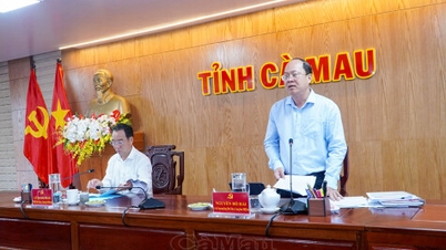 Cà Mau quyết liệt tháo gỡ các dự án tồn đọng, kéo dài