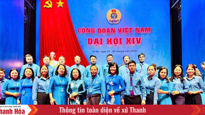 Memanfaatkan kecerdasan dan tanggung jawab untuk berkontribusi pada keputusan kebijakan utama organisasi Serikat Buruh Vietnam.
