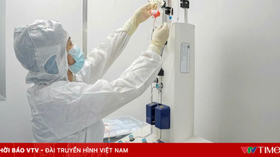 Avanço no tratamento do câncer: primeiro transplante alogênico bem-sucedido de células-tronco hematopoiéticas.