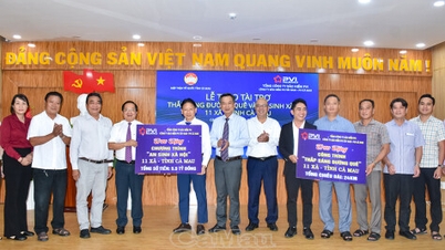 มีการจัดสรรงบประมาณกว่า 7 พันล้านดอง เพื่อสนับสนุนโครงการ "ติดตั้งไฟส่องสว่างตามถนนในชนบท" และสวัสดิการสังคมสำหรับ 11 ตำบลในจังหวัดกาเมา