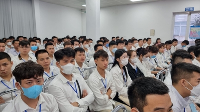 今年最初の5ヶ月間で、5万3100人以上のベトナム人労働者が海外へ出稼ぎに行った。