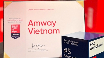 Amway Vietnam har rankats bland de bästa arbetsplatserna i Vietnam två år i rad (2026).