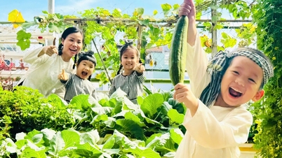 Die öffentlichen Kindergärten in Ho-Chi-Minh-Stadt werden ab dem 15. Juni mit der Sommerbetreuung beginnen.