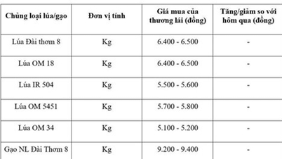 Ceny rýže 3. června: Domácí trh stabilní, vývoz rýže prudce klesl o 15 dolarů za tunu.