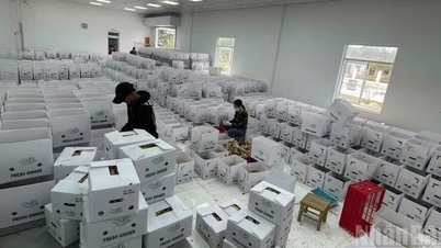 Nei primi cinque mesi del 2026, a livello nazionale sono state registrate oltre 94.800 nuove imprese.