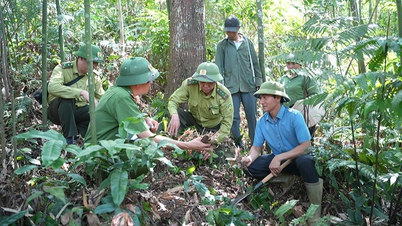 Lao Cai proactively prevents forest fires during the hot season.