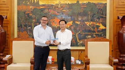 Det internasjonale utstillings- og kongressselskapet (ABE) i Republikken Frankrike utforsker muligheter for samarbeid og investeringer i Bac Ninh.